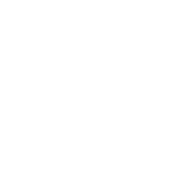 Simple Image of Asteroid